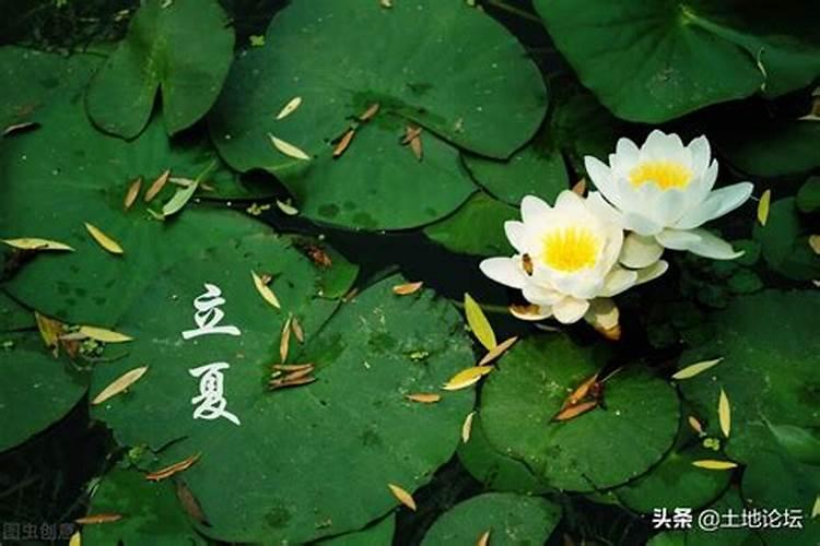 如何改变姻缘运,姻缘不顺怎么改变