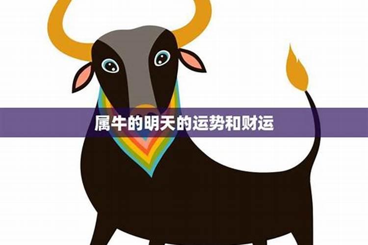 为什么说本命年运气差