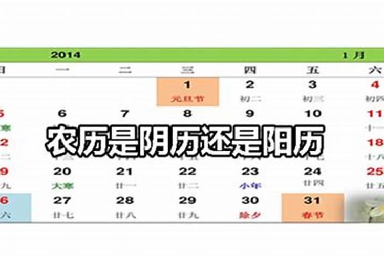 农历的十月初一是什么日子