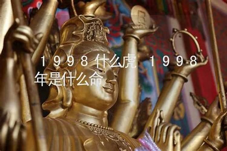 79年属羊男在2024年每月运势如何