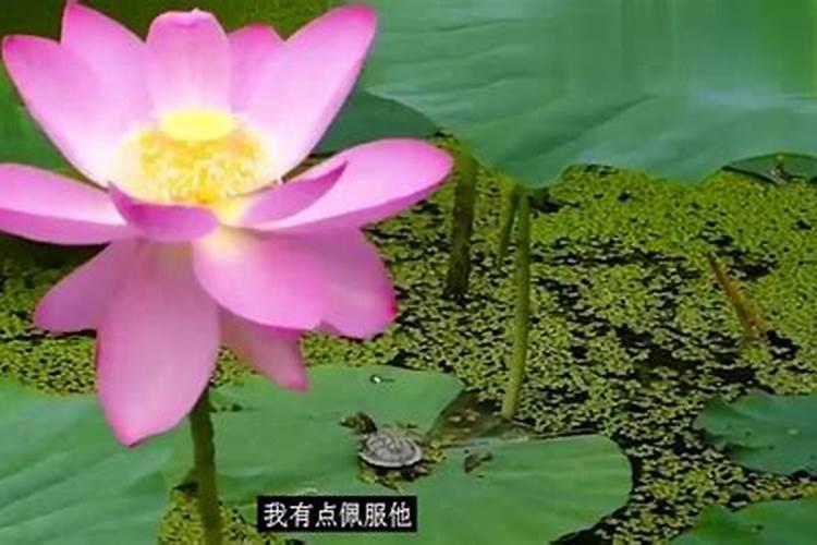 文昌位的摆放风水有什么讲究？