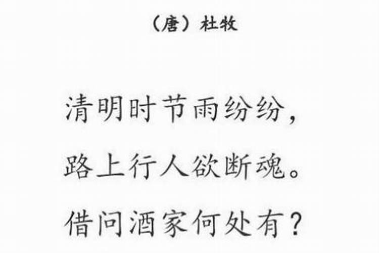 清明节写几句话一年级