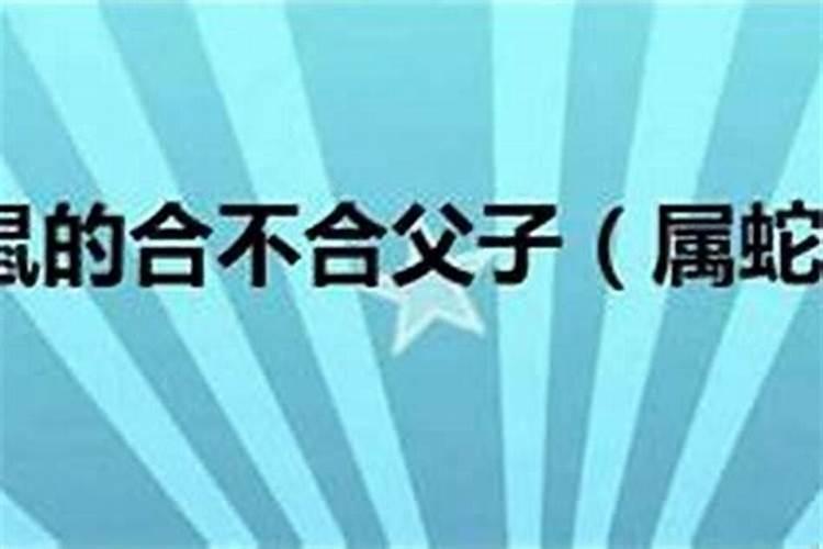 世界卫生是几月几日