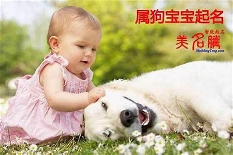 生肖狗:18年出生的属狗人2023年全体运势运程及每月运势？