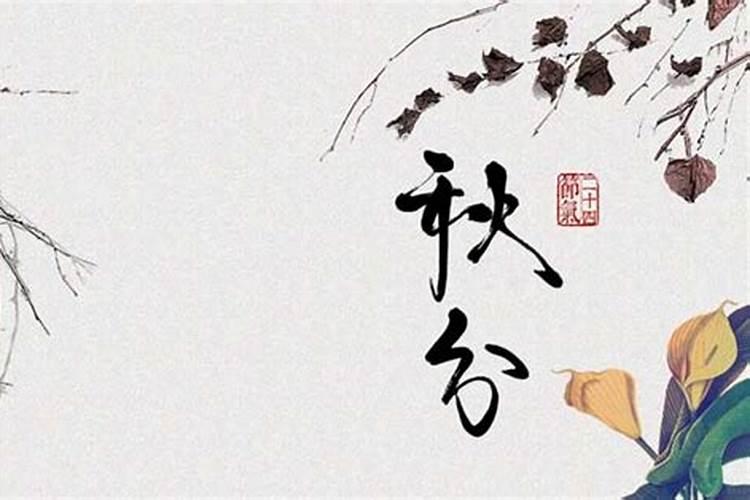 梦见我邻居的女孩子结婚了的预兆