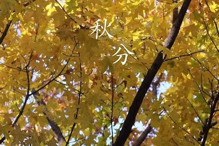 梦到翻车了人没事(做梦翻车人没事是什么意思)