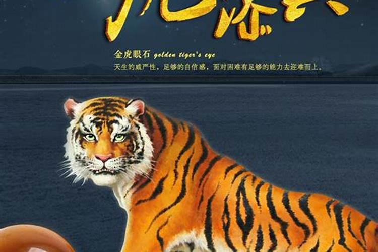 本命年的大忌属虎