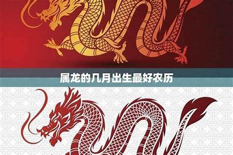 属龙和属蛇的合不合