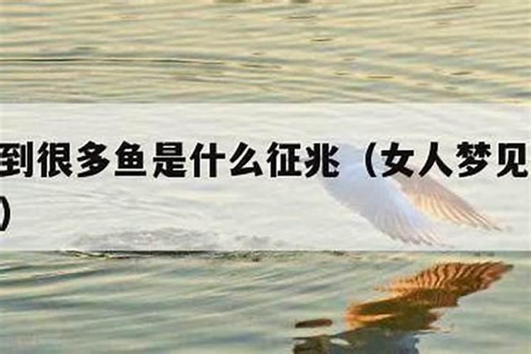 梦见用刀插了好多鱼