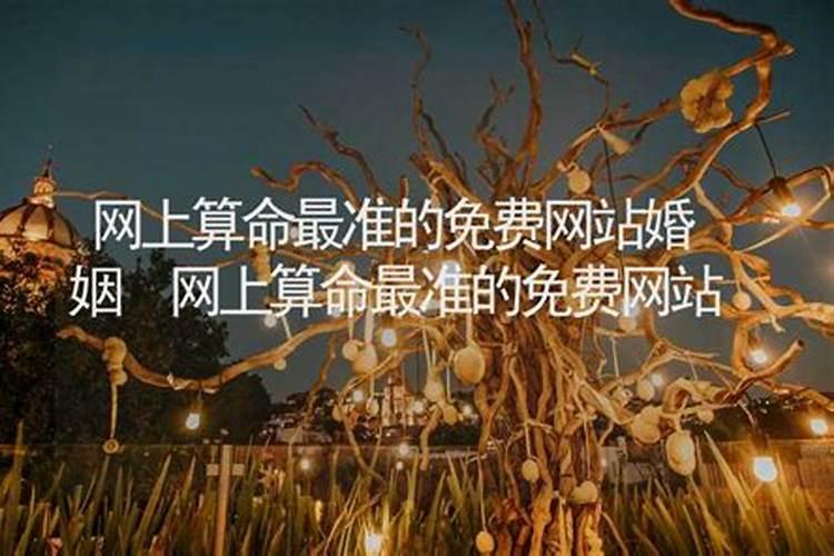 什么八字排盘软件最准。