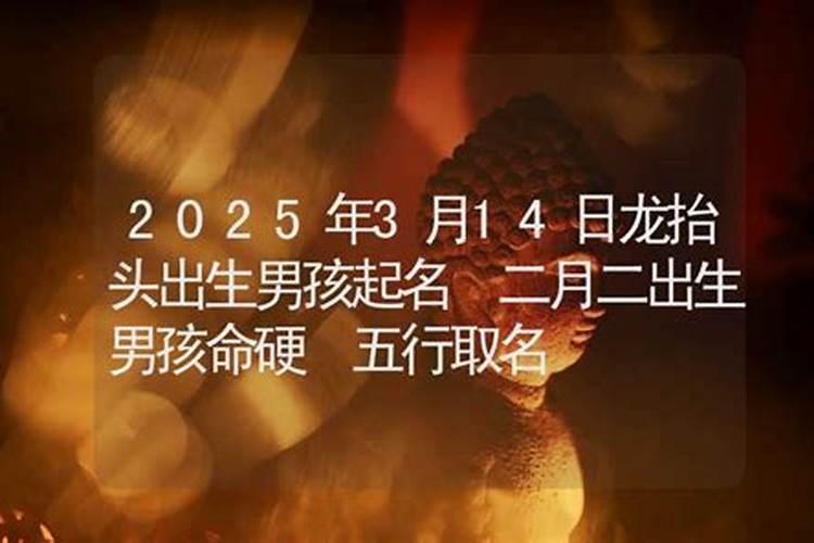 2023年龙抬头出生的男孩命运 资质聪明做事有条理脚踏实地？
