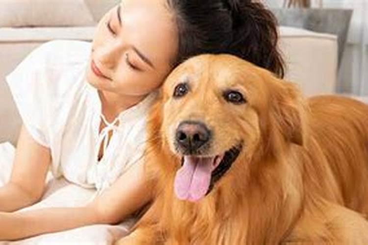 梦见被自己狗咬了还出血了怎么回事