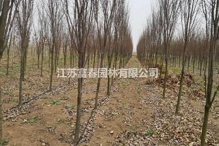车库离楼梯道二十米风水上犯冲吗
