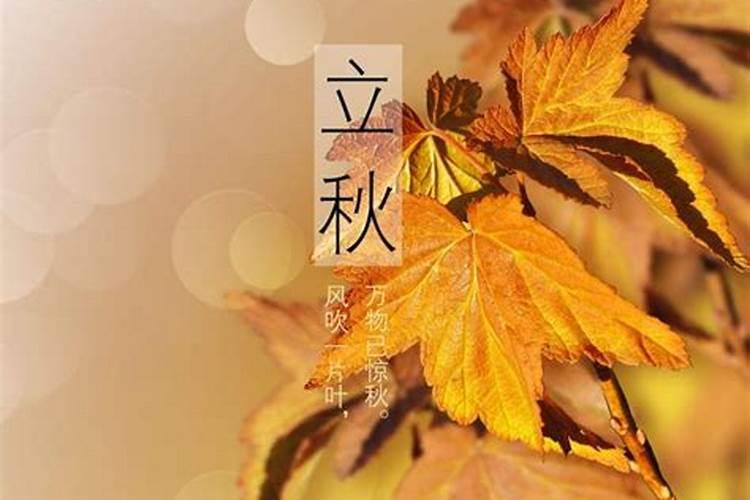 2025属牛终于转运了是怎么一回事