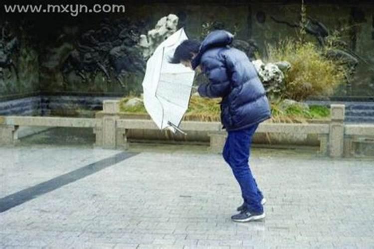 做梦梦到大风大雨是什么征兆？