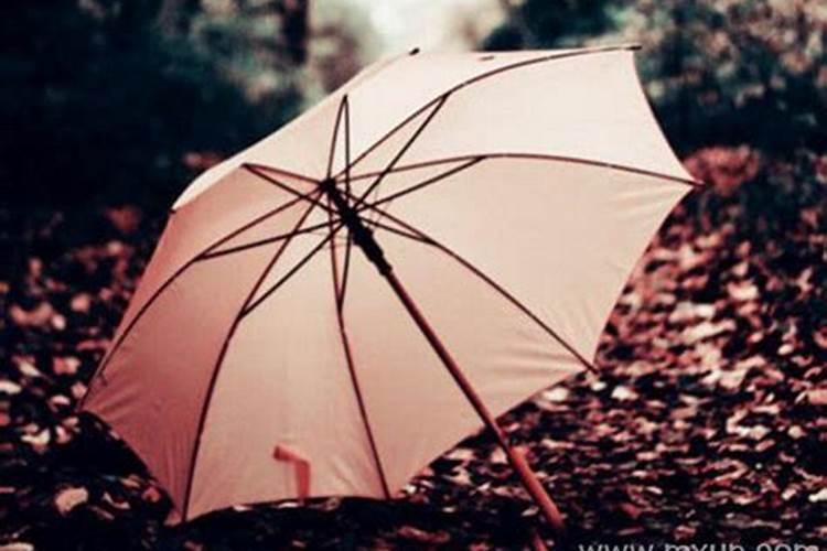 梦见雨伞代表什么预兆 梦见雨伞有什么预兆
