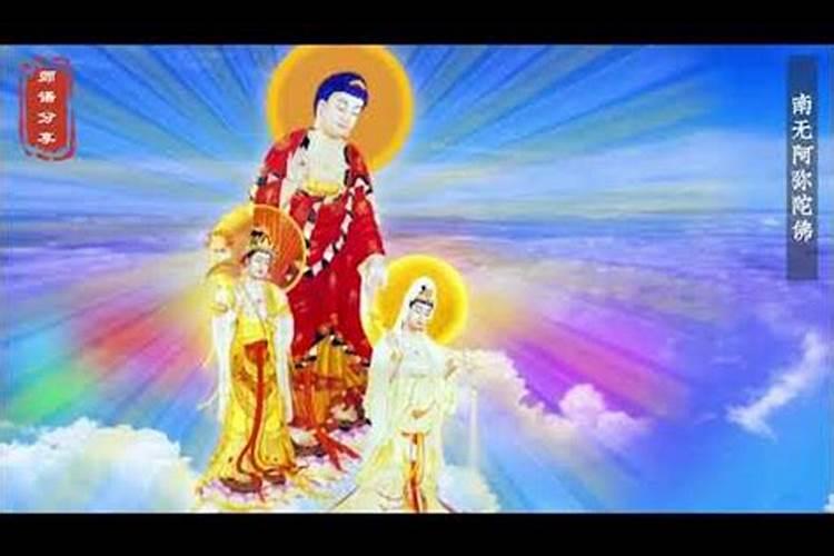 重阳节是农历几月几日