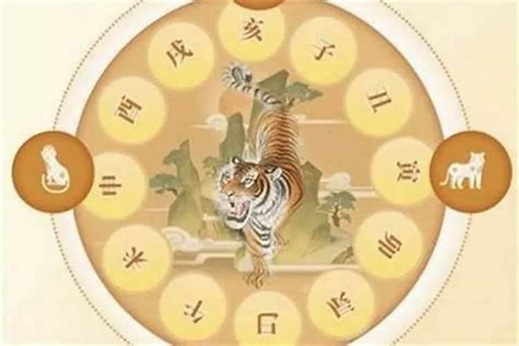 最准的12星座配对表？