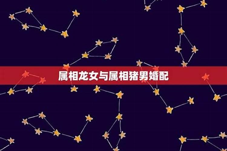 男属龙和女属猪的在一起好吗