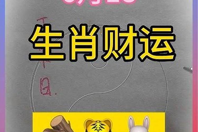 丁卯年 壬寅月 丁未日 酉时生人明年运程如何,各位大师指点一下 谢谢...