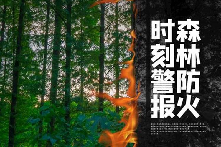 冬至去上坟的句子