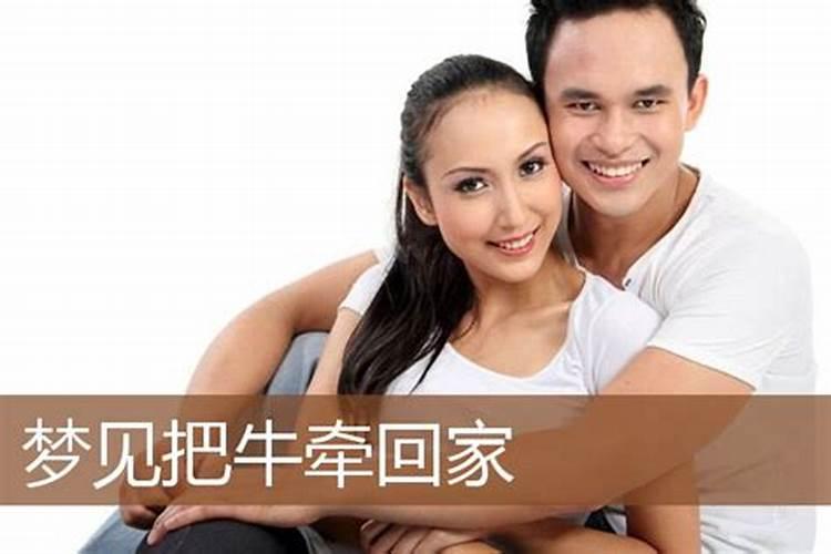 梦见自己牵着一头大水牛的预兆