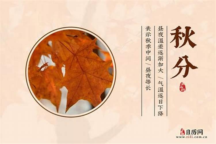 属猪阴历十月出生命运