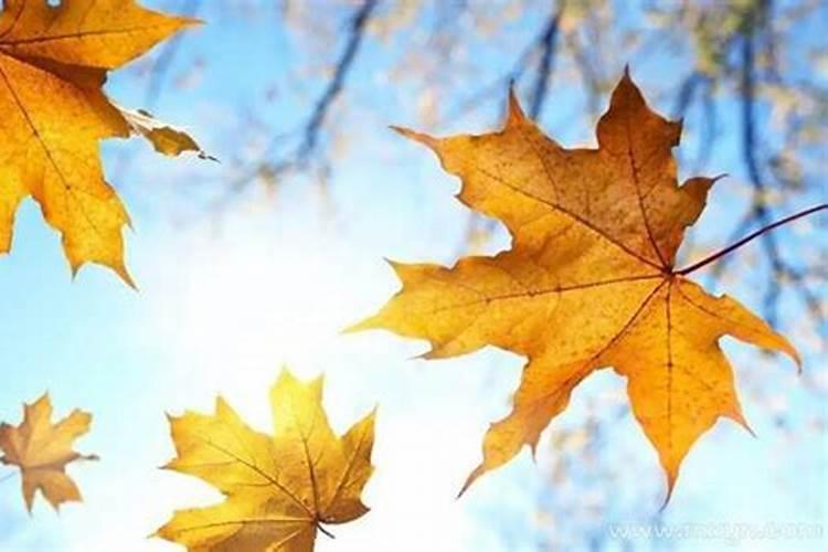 属龙人一生有几次犯太岁 属龙的什么年份犯太岁