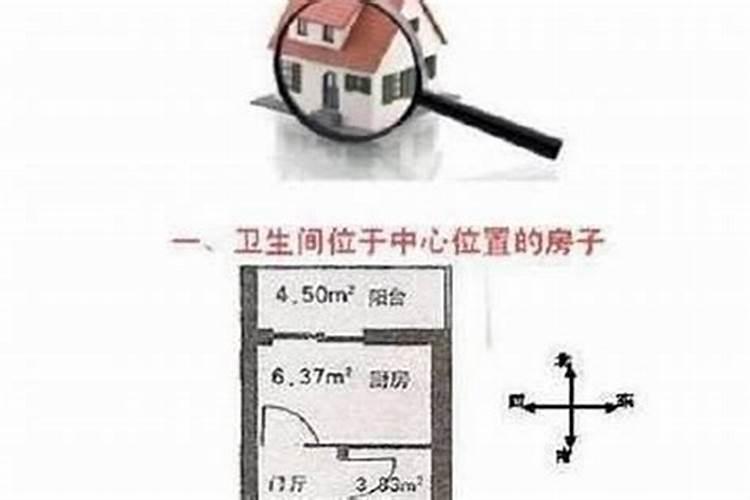 七月出生属马人的运势