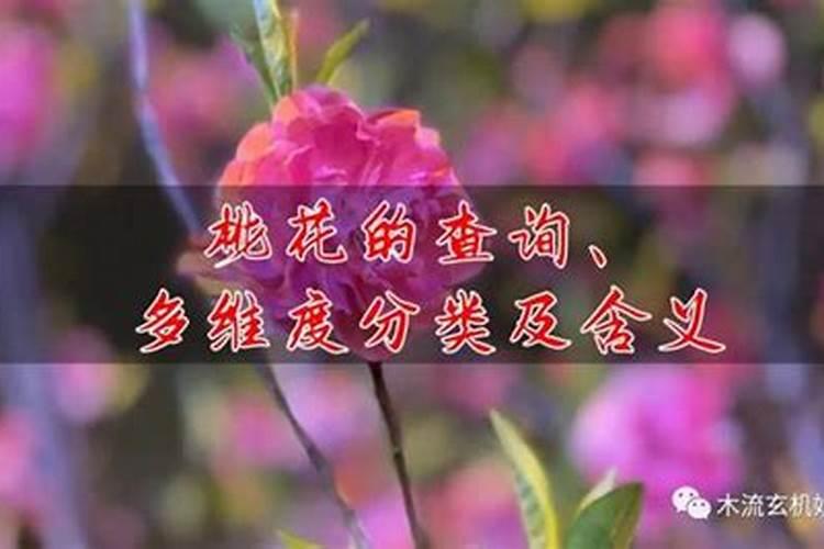 四柱八字中的桃花煞如何化解