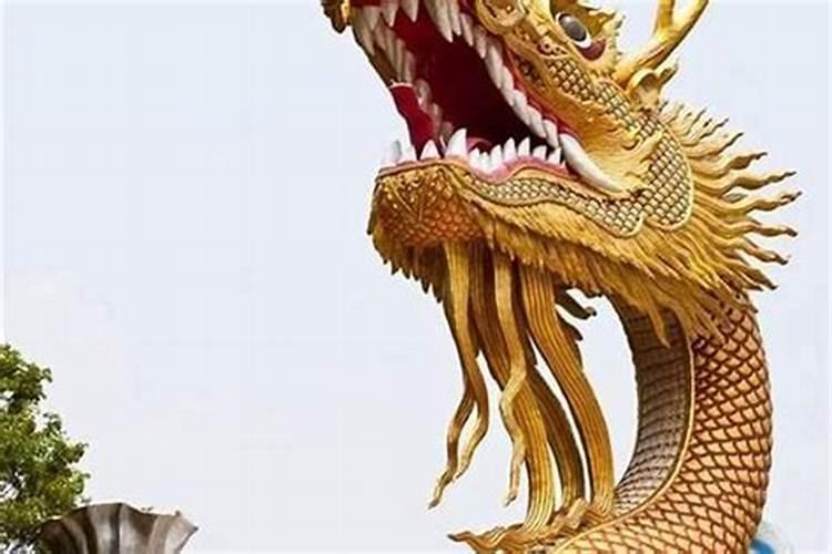 什么是苦命蛇,为什么说12月出现的苦命蛇不能杀？