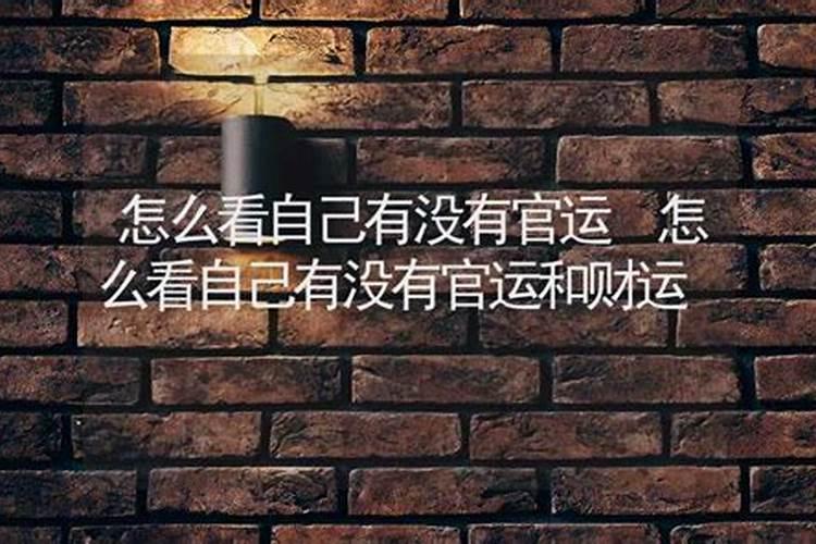 怎么查自己的大运流年