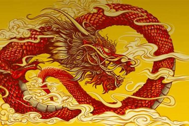 男属马的和女属龙的在一起合适吗？一个1990年一个2000啊