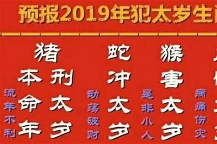2024年猪犯太岁吗 属猪人如何化解太岁