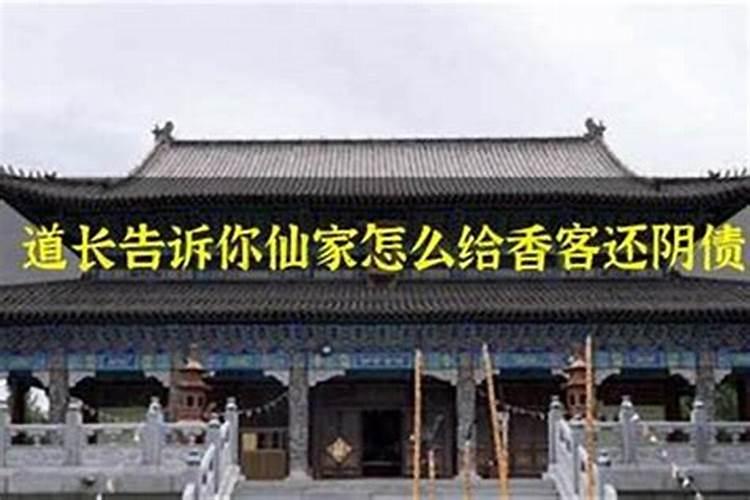 龙和什么属相最配最好