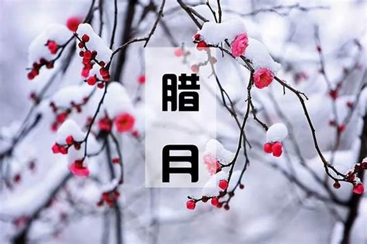 冬天里腊月指什么时候