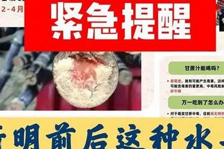 清明节不吃的食物是什么