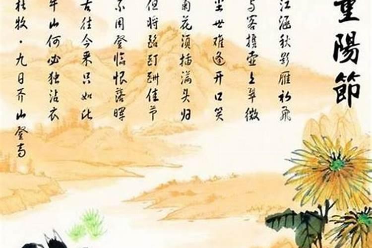 重阳节的传统习俗有哪些？