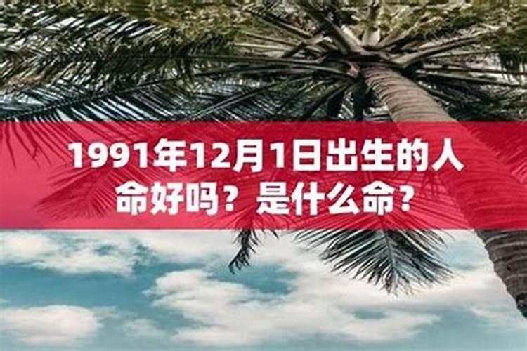 1991年12月出生属羊命运2024 91年腊月的羊好不好