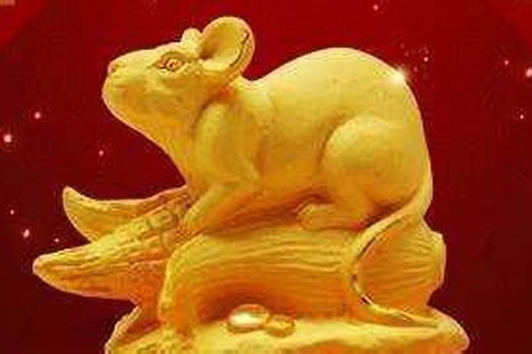 不同月份出生的属狗人命运剖析 几月出生荣华贫贱？