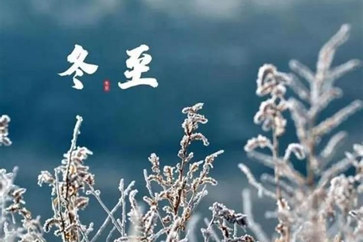 劲酒还有几天