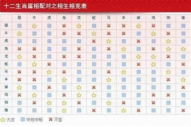 男属兔87年和什么属相最配