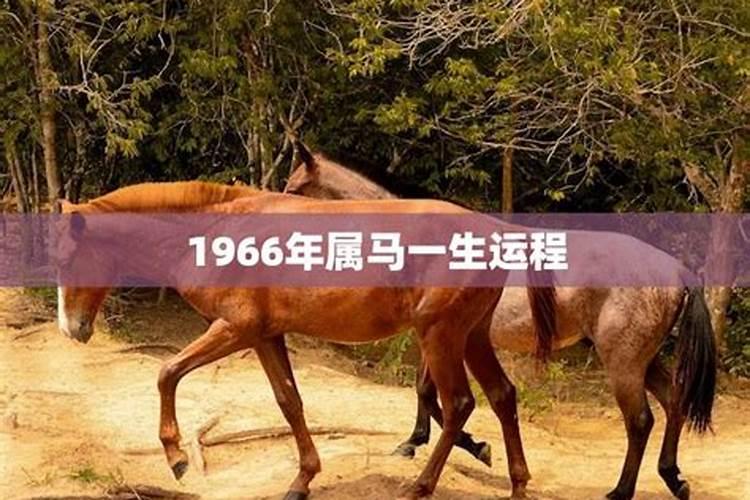 八字纳音是什么意思