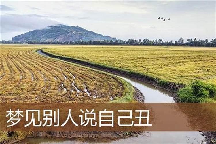 2025年教师职称评定新规