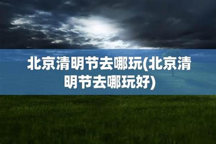 什么小程序输入阳历生日可以查生辰八字