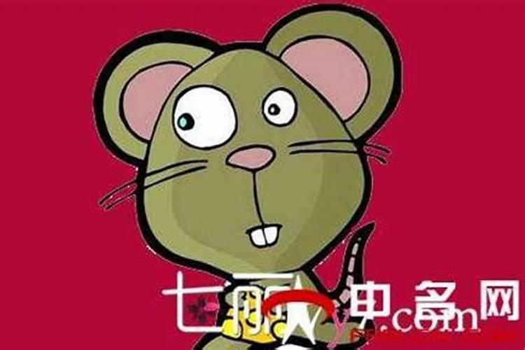 腊月属鼠男命运如何几月出生最好命