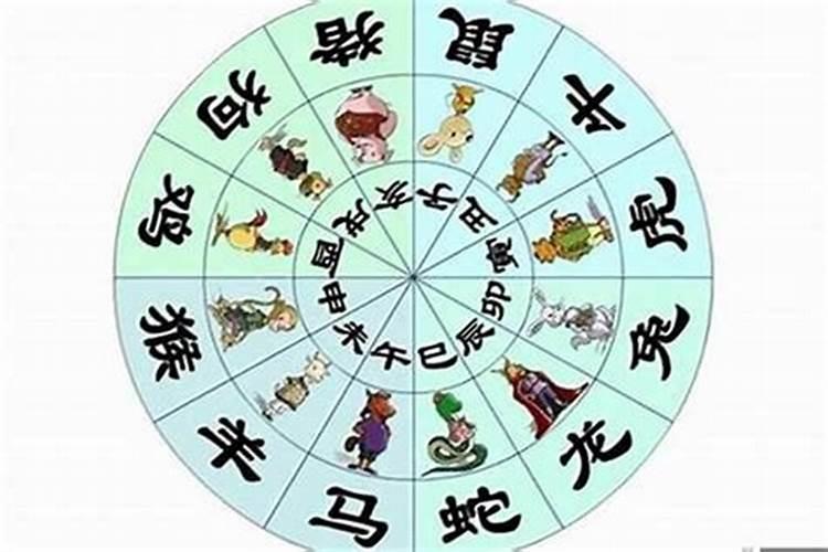 小学生关于冬至的英语作文