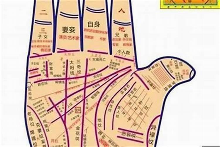 财运大福气大的手纹 三豹纹有意外之财？