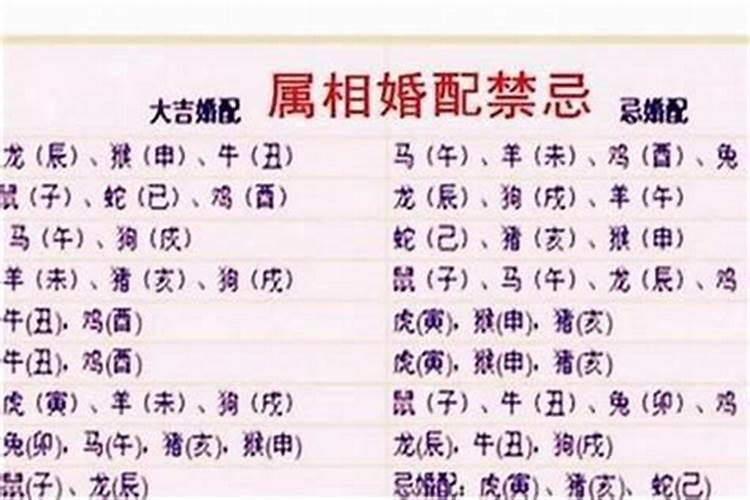 合婚月柱和时柱相冲能在一起吗？