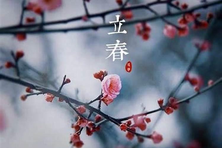 立春摇卦看看一年的运气如何 ？